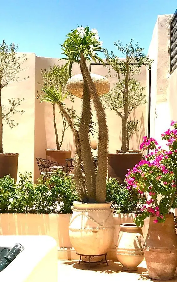 Le Patio Secret Marrakech Bed & Breakfast Marrakesh 0*,  Morocco